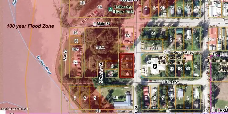 L6 S B Street, Talkeetna, AK 99676 - #1