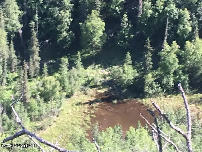 51900 W Glenn Highway, Chickaloon, AK 99674 - #3