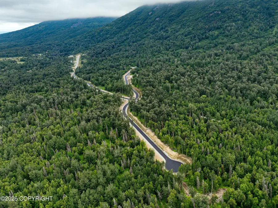 B2 L1 N Springer Circle, Palmer, AK 99645 - #2