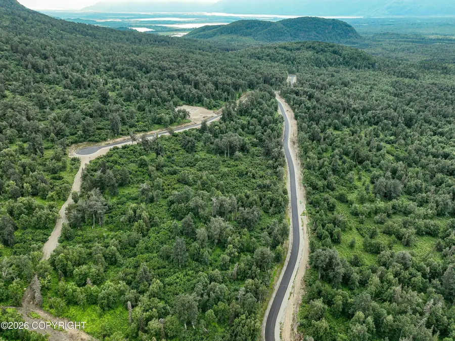 B2 L1 N Springer Circle, Palmer, AK 99645 - #3