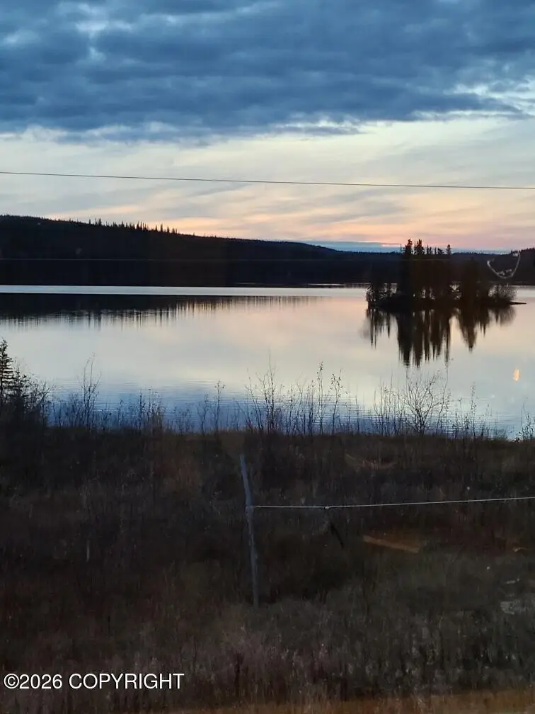 L11 Tolsona Lake Road, Glennallen, AK 99588 - #1