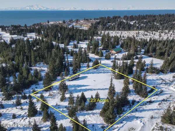 72697 Kingair Avenue, Anchor Point, AK 99556