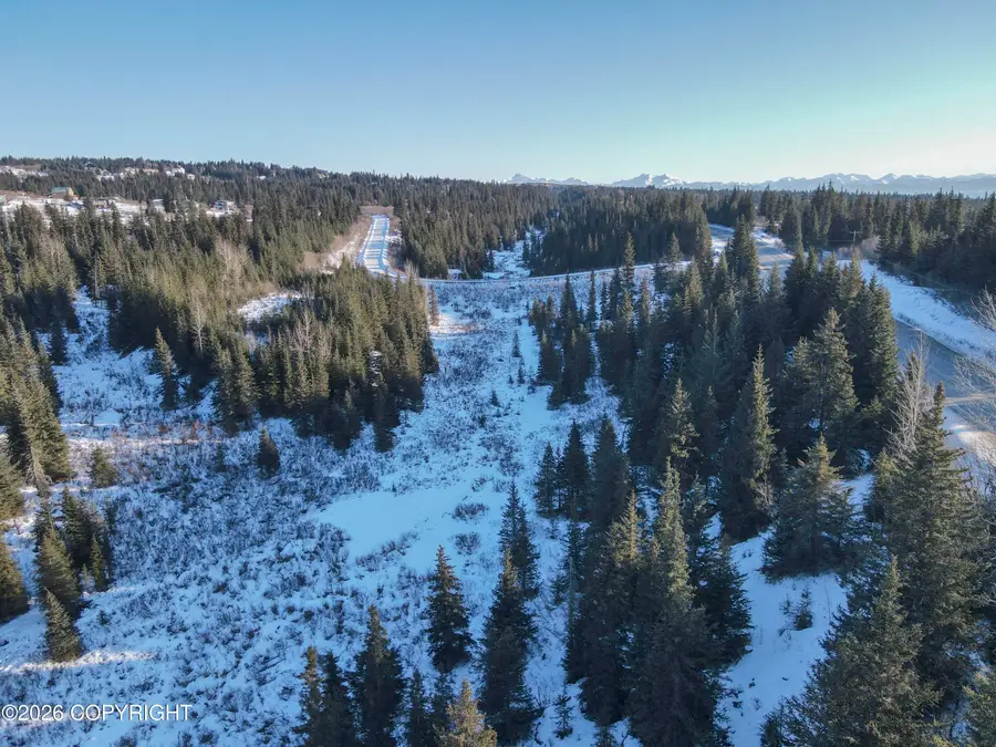 67225 Endless View Loop, Homer, AK 99603 - #2