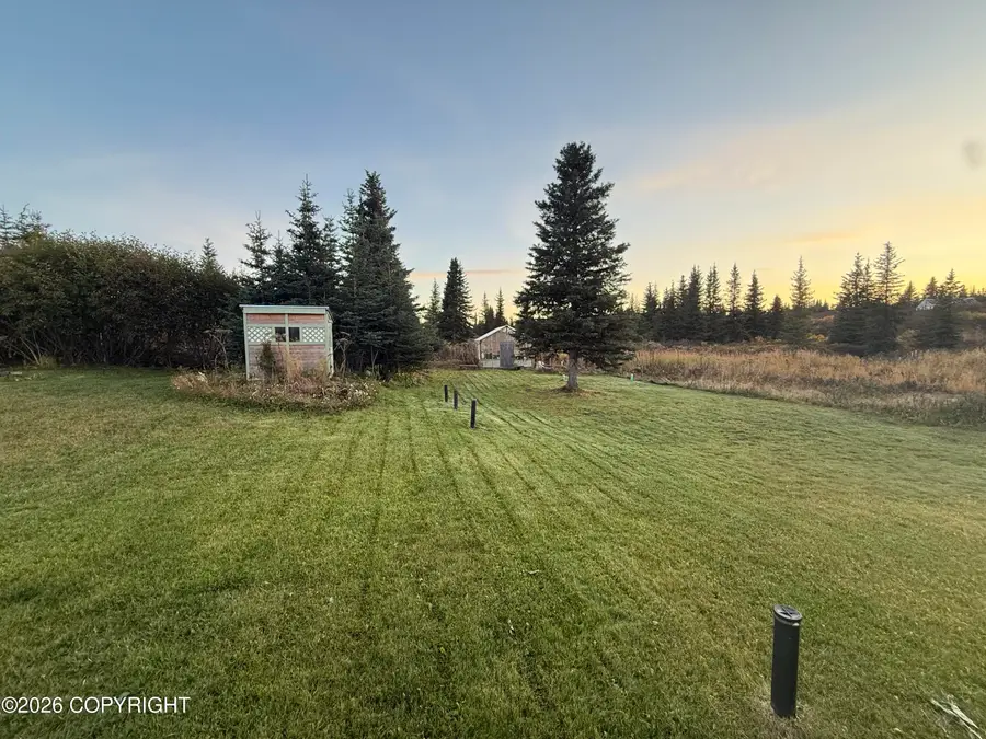 51290 Mossberry Avenue, Homer, AK 99603 - #3