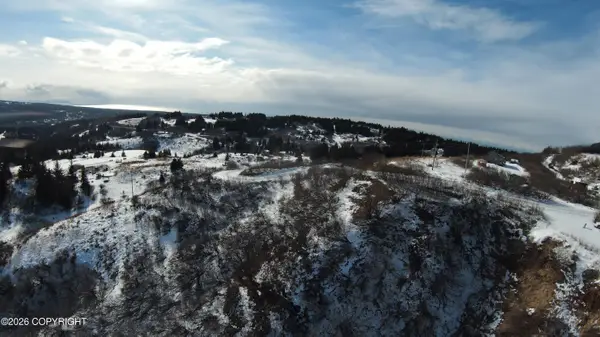 36680 Fox Road, Anchor Point, AK 99556