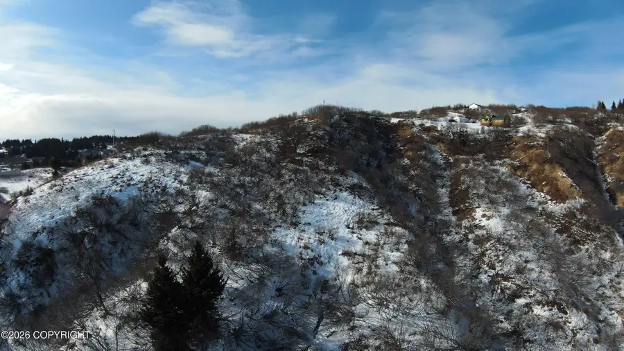 36680 Fox Road, Anchor Point, AK 99556 - #3