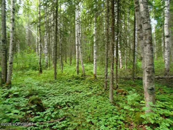 1801 Claudia Road, Houston, AK 99652