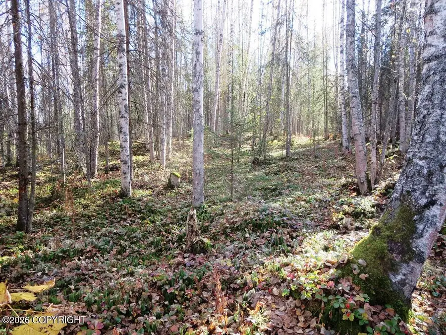 1801 N Claudia Road, Houston, AK 99623 - Image #2