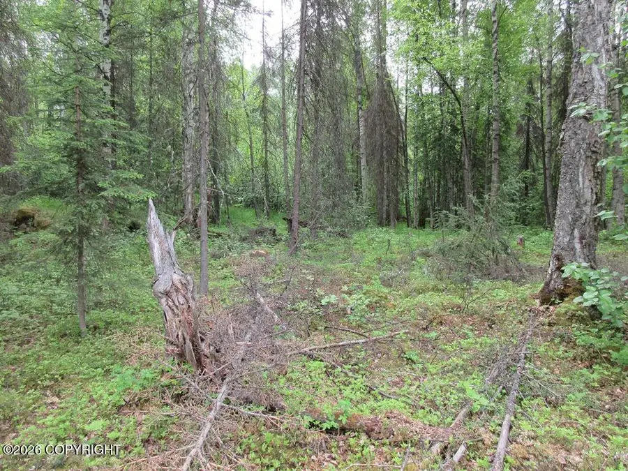 1801 N Claudia Road, Houston, AK 99623 - Image #3