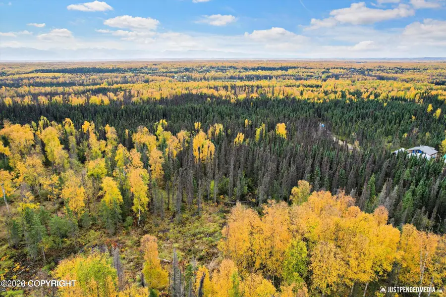 D001 W Armstrong Road, Houston, AK 99623 - #3