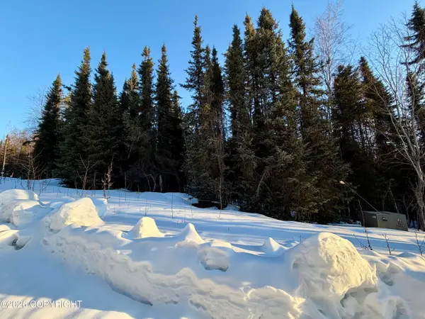 32664 Strauss Court, Soldotna, AK 99669