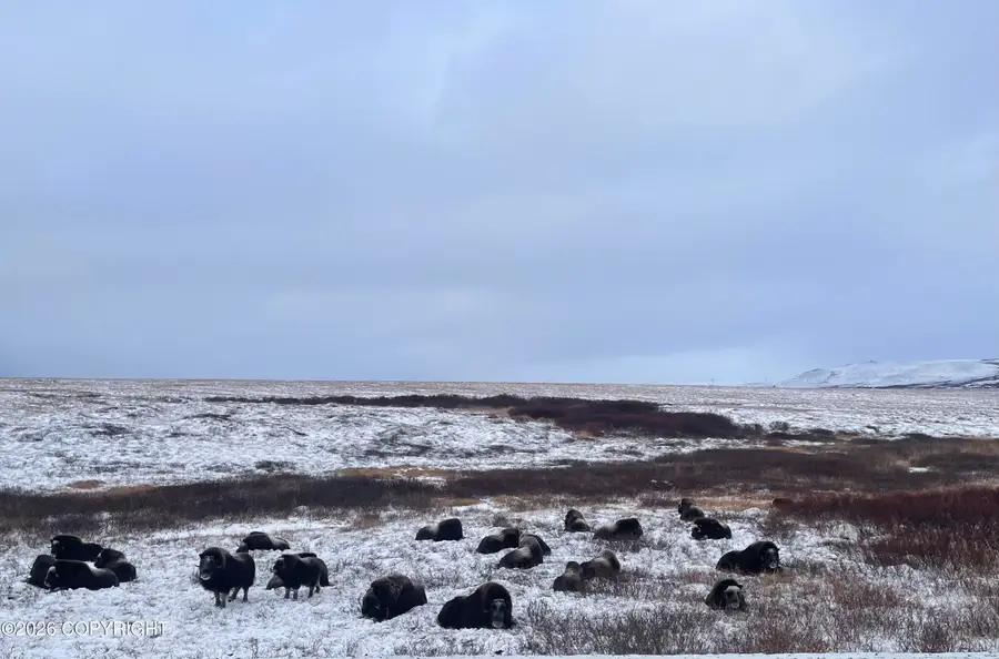 L1 Pioneer Lane, Nome, AK 99762 - #3