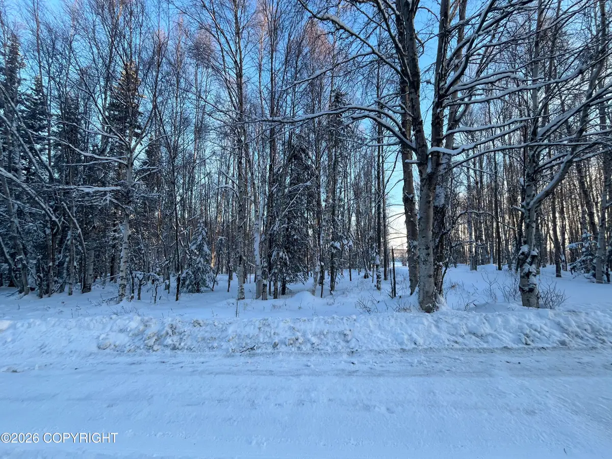 000 Shay Lynn Circle, Soldotna, AK 99669 - Image #1