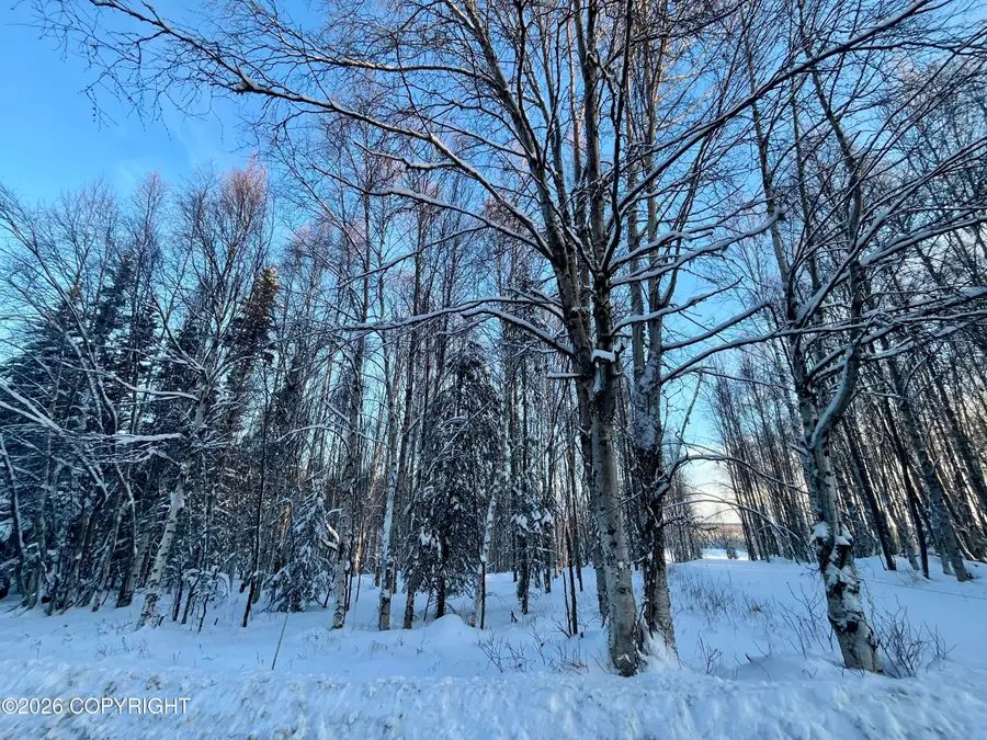 000 Shay Lynn Circle, Soldotna, AK 99669 - Image #2