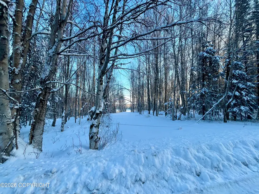 000 Shay Lynn Circle, Soldotna, AK 99669 - Image #3