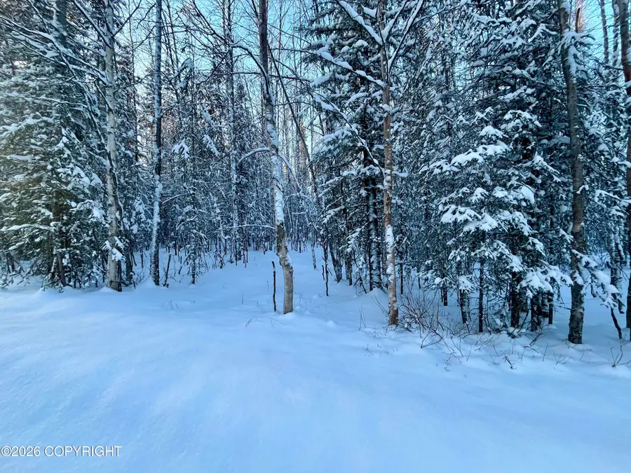 Tr5 Shay Lynn Circle, Soldotna, AK 99669 - Image #3