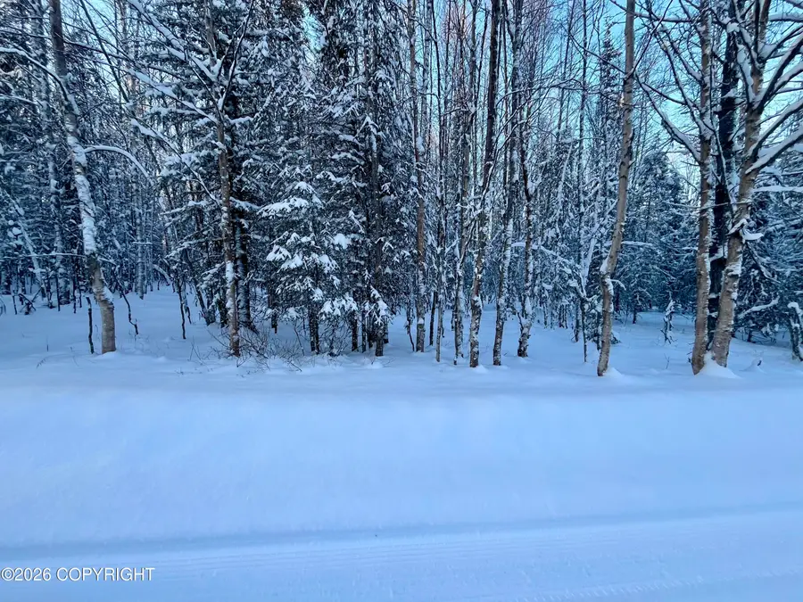 Tr6 Shay Lynn Circle, Soldotna, AK 99669 - Image #2