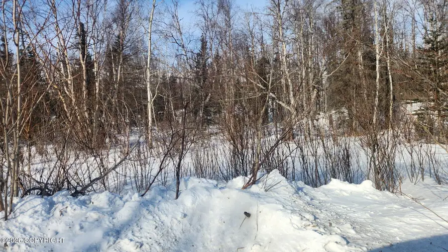 9300 N Hillside Drive, Palmer, AK 99645 - #3
