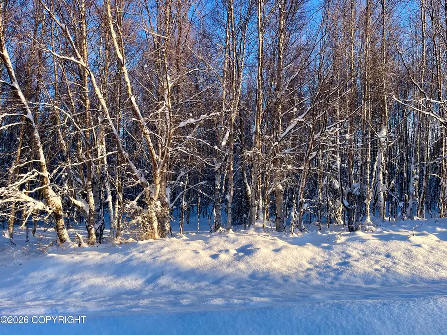 Tr5-7 Shay Lynn Circle, Soldotna, AK 99669 - Image #2