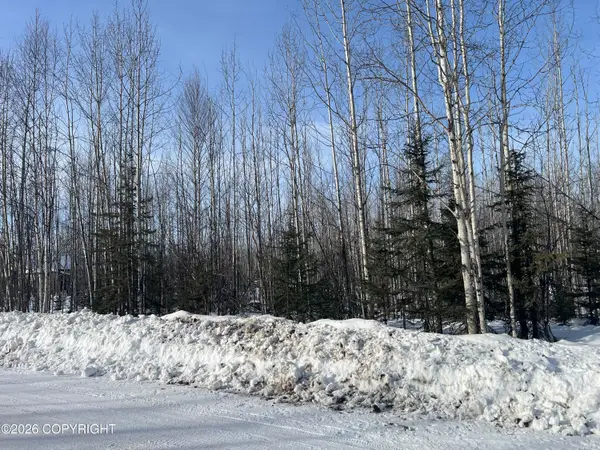 14215 Masonic Court, Big Lake, AK 99652