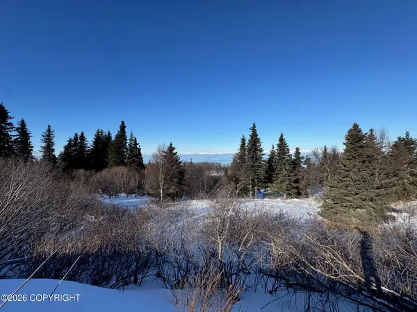 L7 Mead Court, Clam Gulch, AK 99568