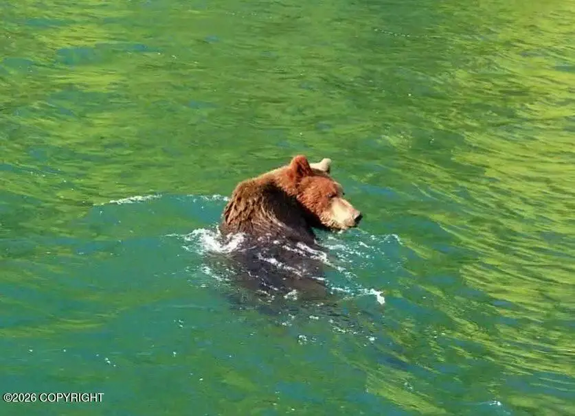 L1 B9 Chilkat Lake, Haines, AK 99827 - #3