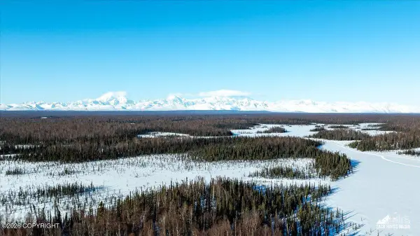 6080 E Petersville Road, Trapper Creek, AK 99683