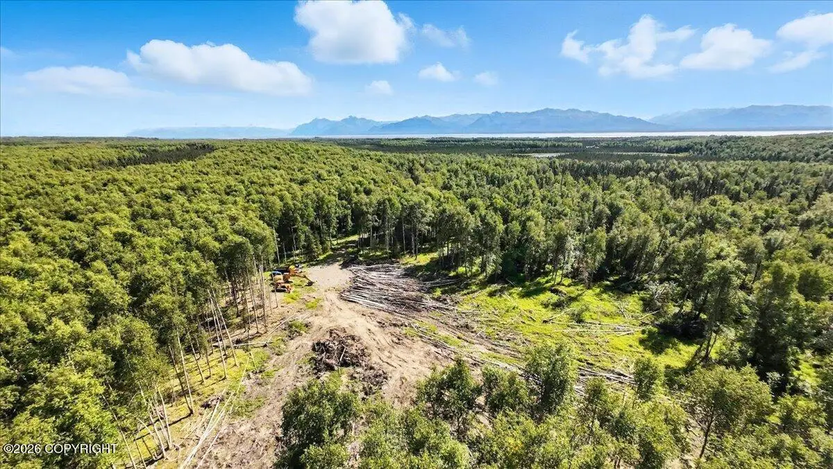 13964 W Little Jack Avenue, Wasilla, AK 99623 - #1