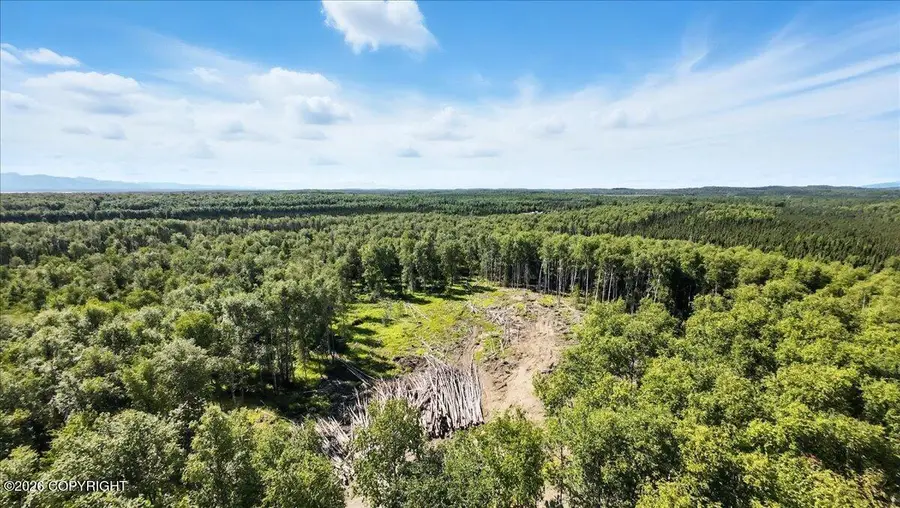 13964 W Little Jack Avenue, Wasilla, AK 99623 - #3