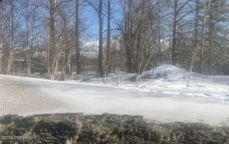 427 Glenn Highway, Palmer, AK 99645 - #3