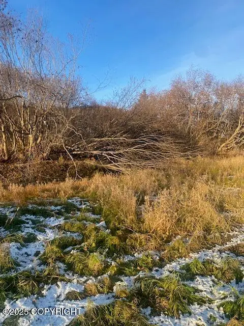 L19 Shelby Kay Street, Homer, AK 99603 - Image #1