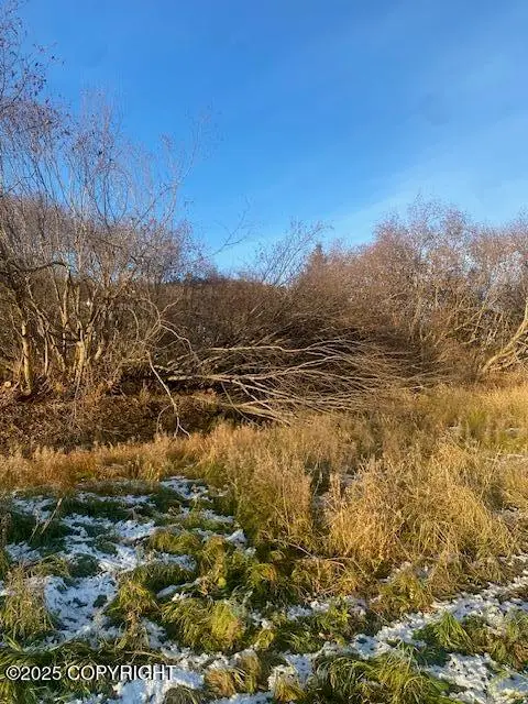 L19 Shelby Kay Street, Homer, AK 99603 - Image #2