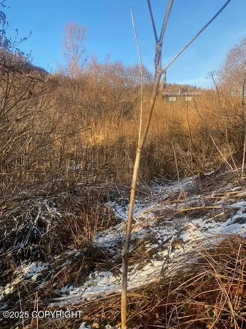 L19 Shelby Kay Street, Homer, AK 99603 - Image #3