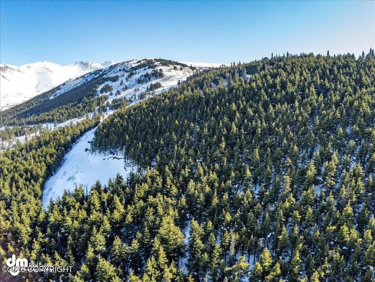 L3 Paine Circle, Anchorage, AK 99516 - #1