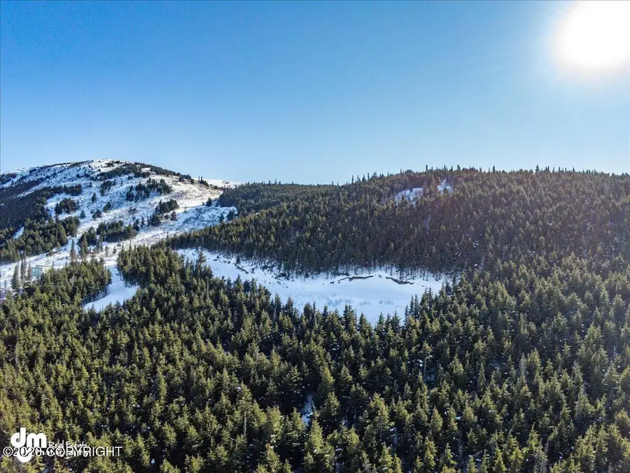 L3 Paine Circle, Anchorage, AK 99516 - #2