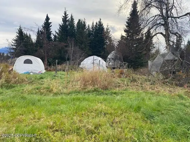 Lot 20 Shelby Kay, Homer, AK 99603 - Image #1