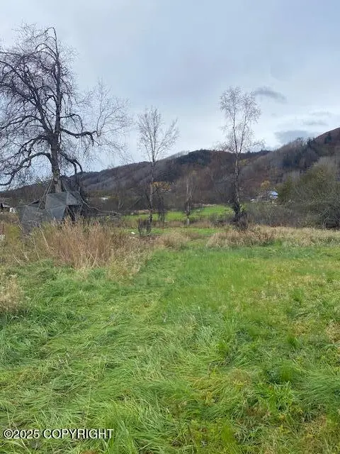 Lot 20 Shelby Kay, Homer, AK 99603 - Image #2