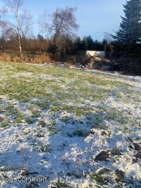 Lot 20 Shelby Kay, Homer, AK 99603 - Image #3