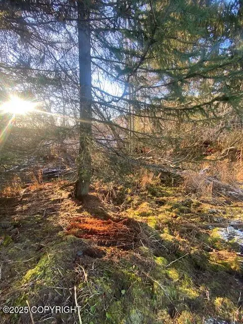 Lot 21 Shelby Kay, Homer, AK 99603