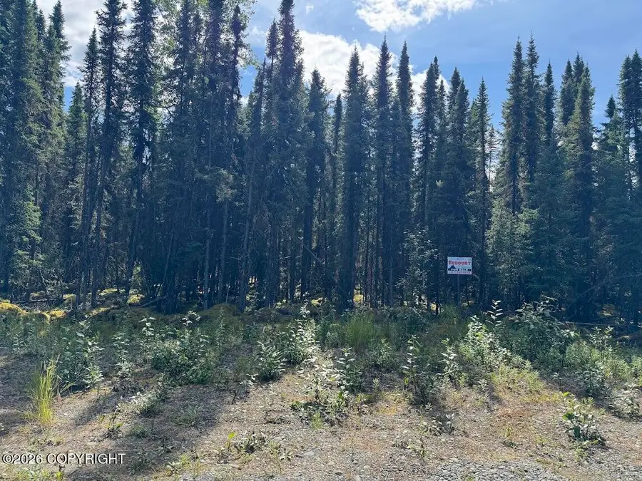 36629 Mulligan Court, Soldotna, AK 99669 - #2