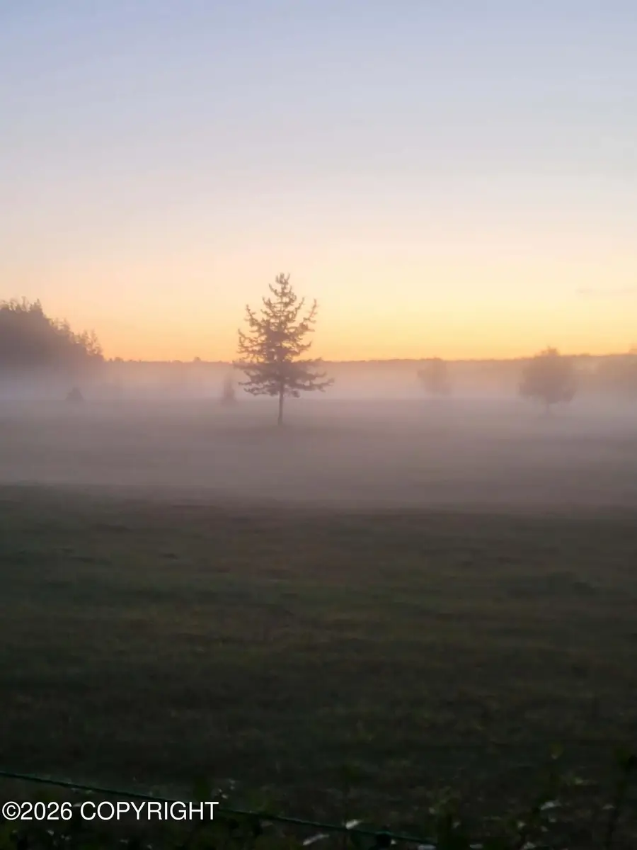 36629 Mulligan Court, Soldotna, AK 99669 - #3