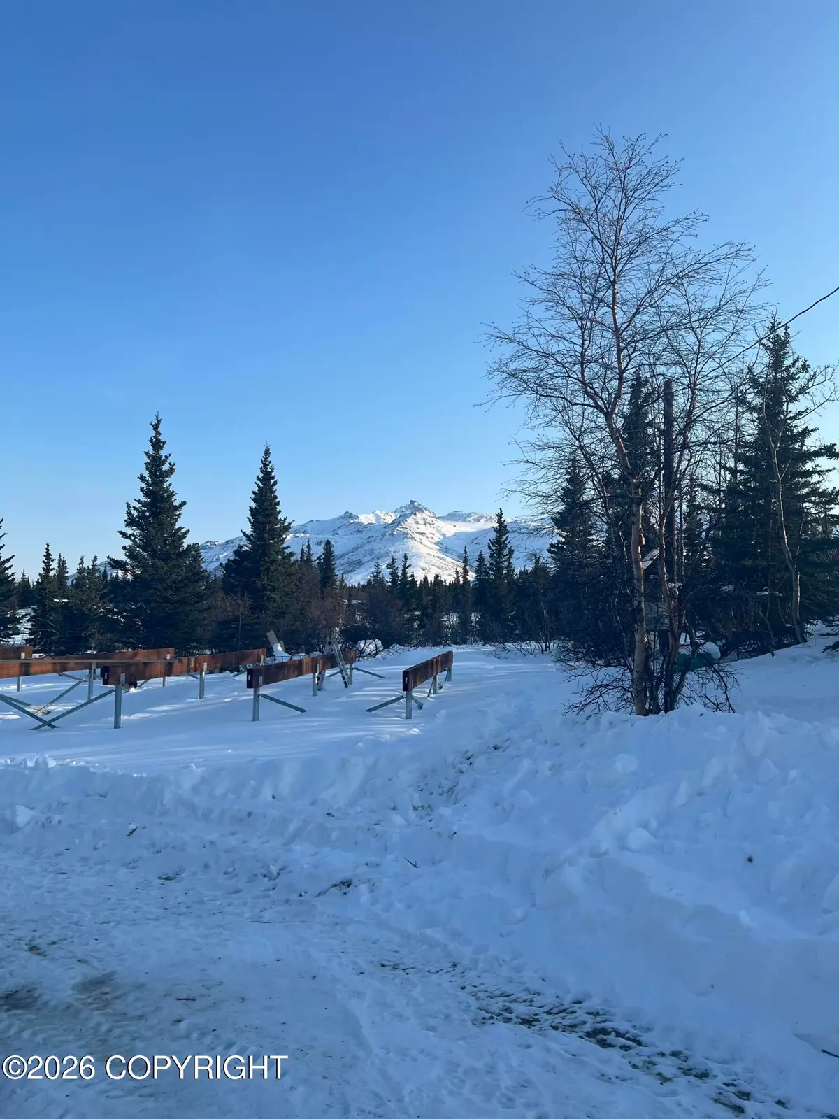 L5 Hill Top Road, Healy, AK 99743 - #1