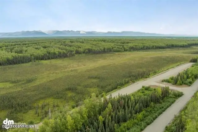 1720 N Saige Boulevard, Houston, AK 99694 - #2