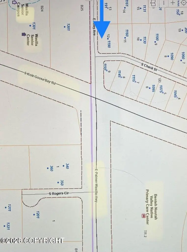 1190 S Check Street, Wasilla, AK 99654 - #3