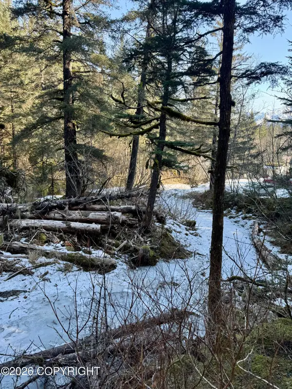 1617 Harold Avenue, Seward, AK 99664