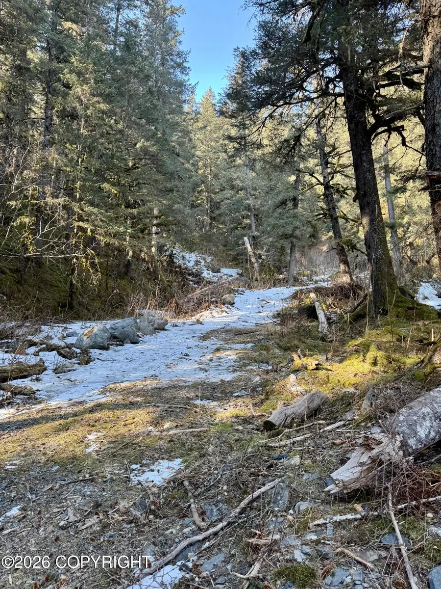 1617 Harold Avenue, Seward, AK 99664 - #2