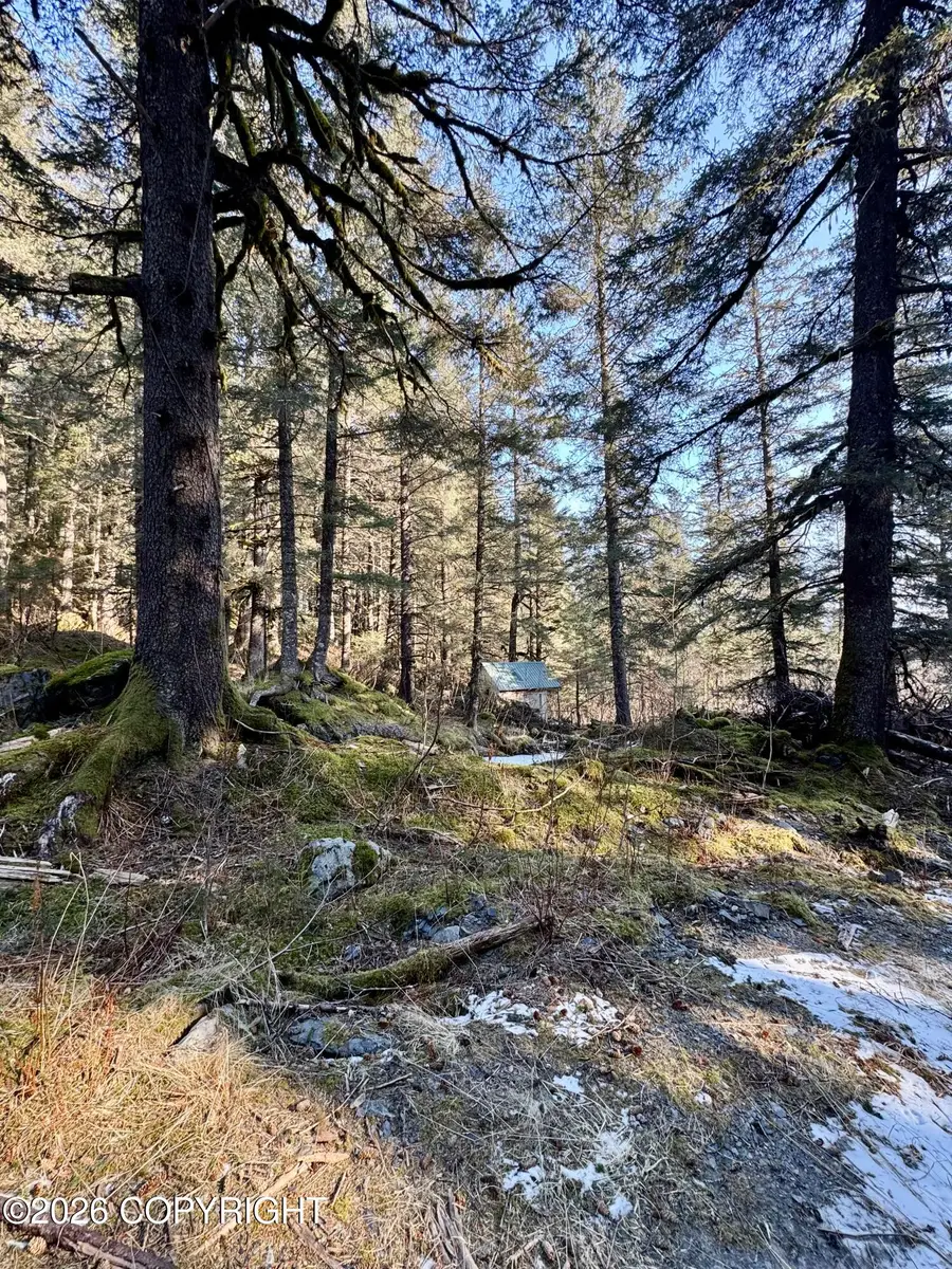 1617 Harold Avenue, Seward, AK 99664 - #3