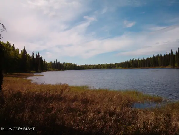 76-153 Tract A Hornet Lake Lakefront, Trapper Creek, AK 99683