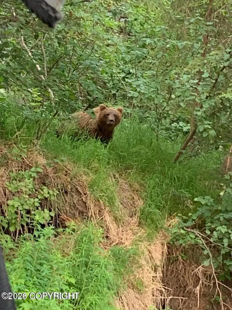 2 Tonzona Avenue, McGrath, AK 99627 - #2