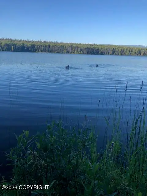 No Road Susitna Lake Road, Glennallen, AK 99588 - Image #1